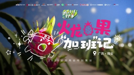 全国两会特别策划｜“我在乡村干大事”—— 火龙果“加班”记