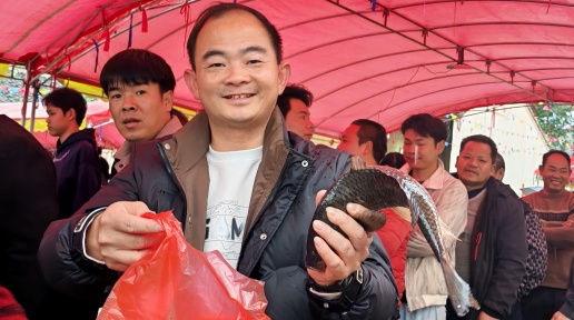 游园联欢龙狮舞 八步区百年老圩闹元宵