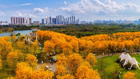 多地公布春假安排，南宁、北海获亲子游客青睐