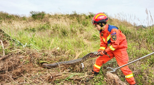 拽尾锁头一气呵成！防城港消防6分钟智擒2.3米大蟒蛇