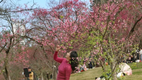 周末的石门公园，春光明媚熙熙攘攘