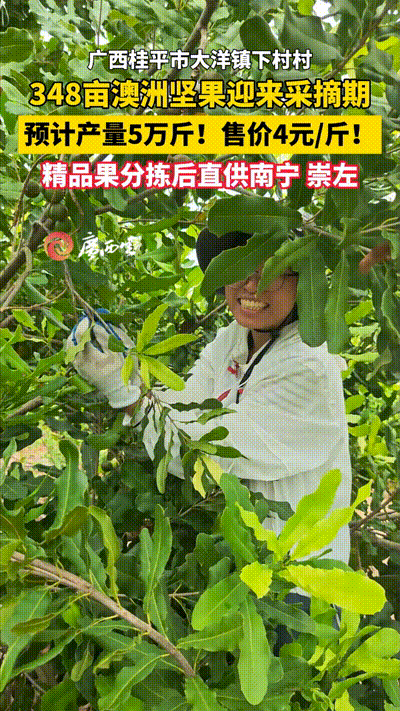 ��ƽ�����޼��ӭ������