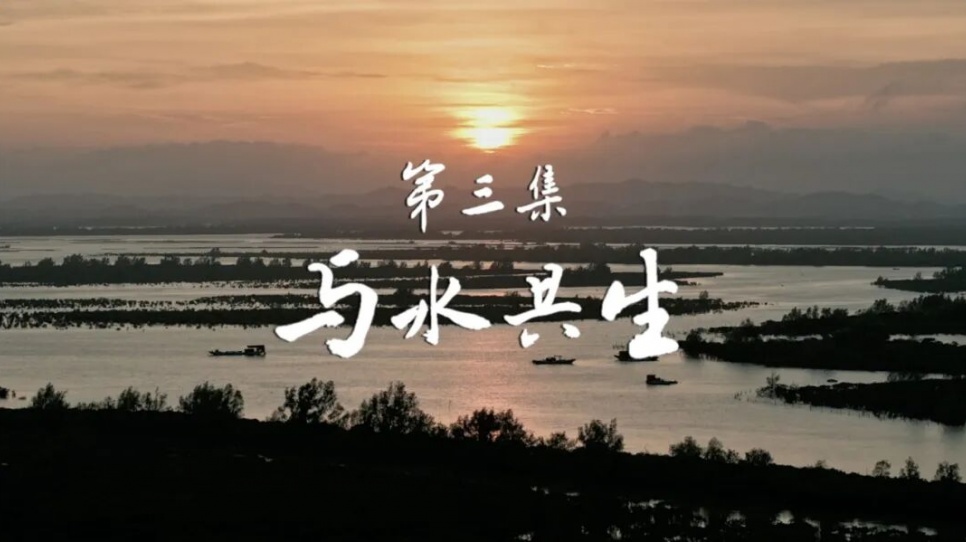 与水共生丨大型纪录片《平陆运河》第三集今晚播出,讲述顺应自然之道